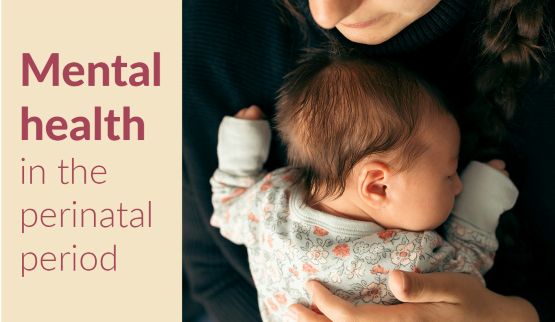 Mental Health in the Perinatal Period